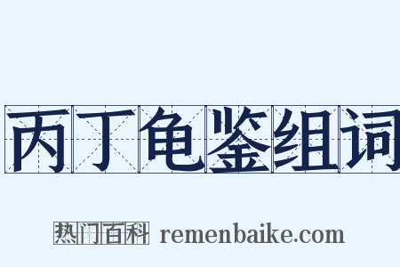 丙丁龟鉴组词是什么意思的图片